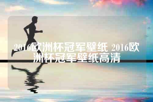 2016欧洲杯冠军壁纸 2016欧洲杯冠军壁纸高清