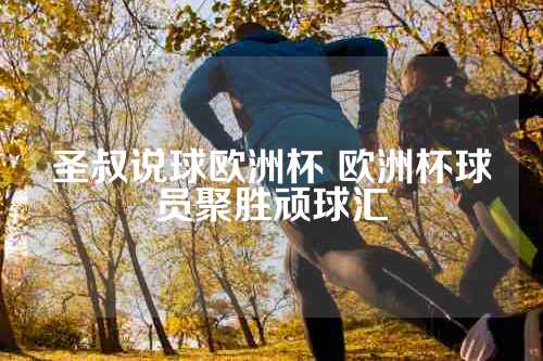 圣叔说球欧洲杯 欧洲杯球员聚胜顽球汇