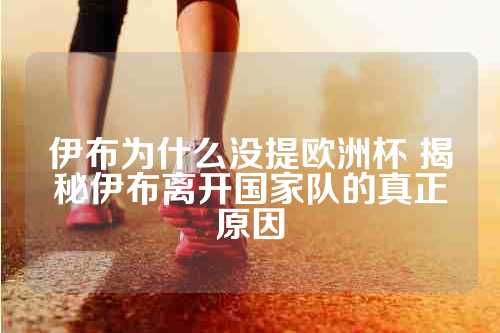 伊布为什么没提欧洲杯 揭秘伊布离开国家队的真正原因