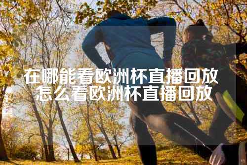 在哪能看欧洲杯直播回放 怎么看欧洲杯直播回放
