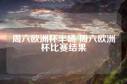 周六欧洲杯半场 周六欧洲杯比赛结果