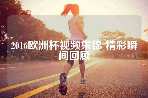 2016欧洲杯视频集锦 精彩瞬间回顾