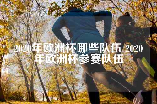 2020年欧洲杯哪些队伍 2020年欧洲杯参赛队伍