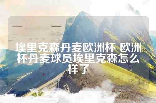 埃里克森丹麦欧洲杯 欧洲杯丹麦球员埃里克森怎么样了