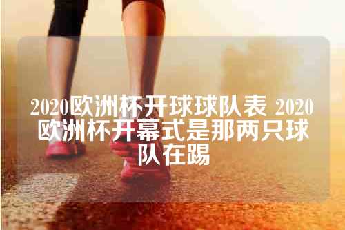 2020欧洲杯开球球队表 2020欧洲杯开幕式是那两只球队在踢