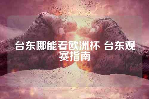 台东哪能看欧洲杯 台东观赛指南