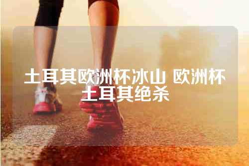 土耳其欧洲杯冰山 欧洲杯土耳其绝杀