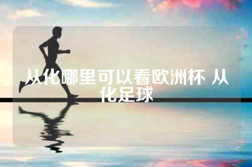 从化哪里可以看欧洲杯 从化足球