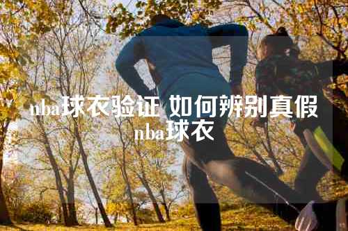 nba球衣验证 如何辨别真假nba球衣