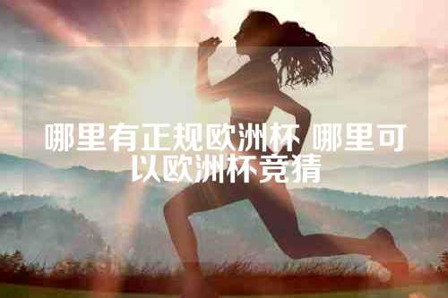 哪里有正规欧洲杯 哪里可以欧洲杯竞猜