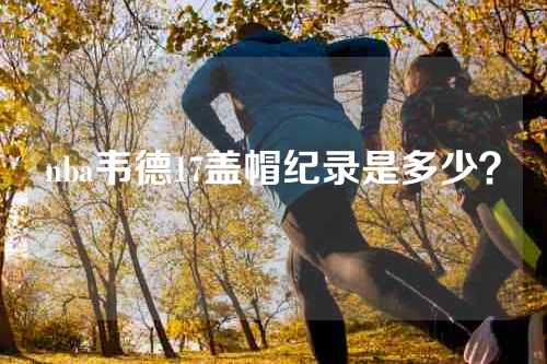 nba韦德17盖帽纪录是多少？