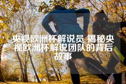 央视欧洲杯解说员 揭秘央视欧洲杯解说团队的背后故事