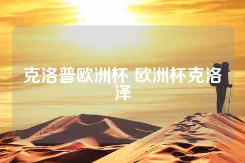 克洛普欧洲杯 欧洲杯克洛泽