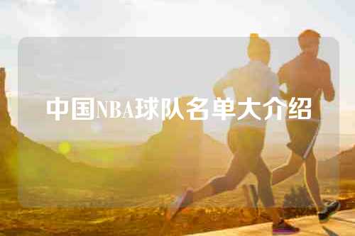 中国NBA球队名单大介绍