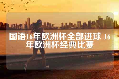 国语16年欧洲杯全部进球 16年欧洲杯经典比赛