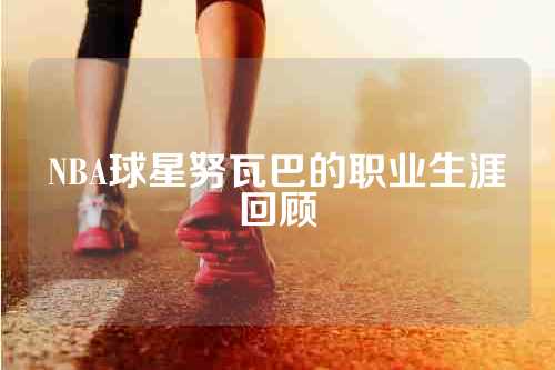 NBA球星努瓦巴的职业生涯回顾