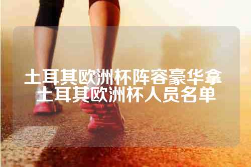 土耳其欧洲杯阵容豪华拿 土耳其欧洲杯人员名单