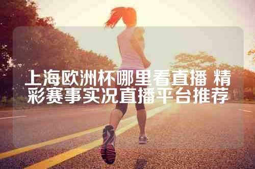 上海欧洲杯哪里看直播 精彩赛事实况直播平台推荐