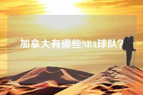 加拿大有哪些NBA球队？