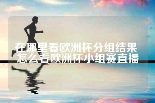 在哪里看欧洲杯分组结果 怎么看欧洲杯小组赛直播