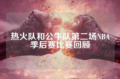热火队和公牛队第二场NBA季后赛比赛回顾