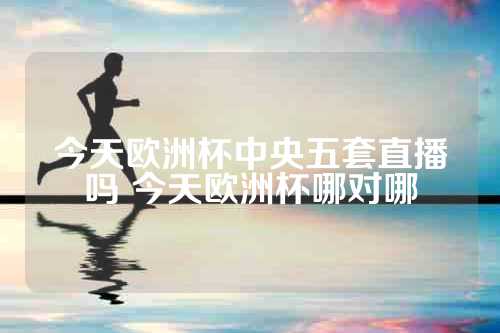 今天欧洲杯中央五套直播吗 今天欧洲杯哪对哪