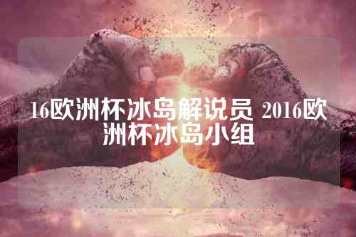 16欧洲杯冰岛解说员 2016欧洲杯冰岛小组