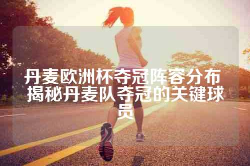 丹麦欧洲杯夺冠阵容分布 揭秘丹麦队夺冠的关键球员