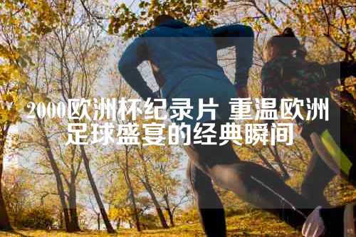 2000欧洲杯纪录片 重温欧洲足球盛宴的经典瞬间