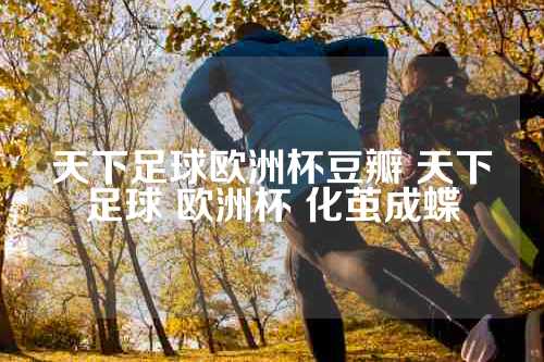 天下足球欧洲杯豆瓣 天下足球 欧洲杯 化茧成蝶