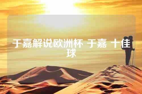 于嘉解说欧洲杯 于嘉 十佳球