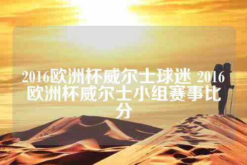 2016欧洲杯威尔士球迷 2016欧洲杯威尔士小组赛事比分
