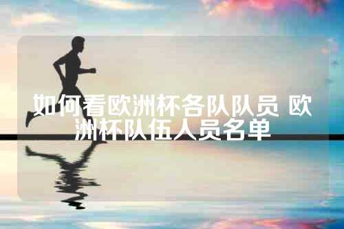 如何看欧洲杯各队队员 欧洲杯队伍人员名单